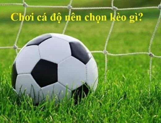 Chơi cá độ nên chọn kèo gì dễ thắng? 
