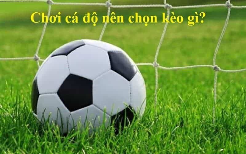 Chơi cá độ nên chọn kèo gì dễ thắng? 