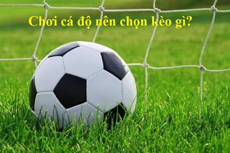 Chơi cá độ nên chọn kèo gì dễ thắng?