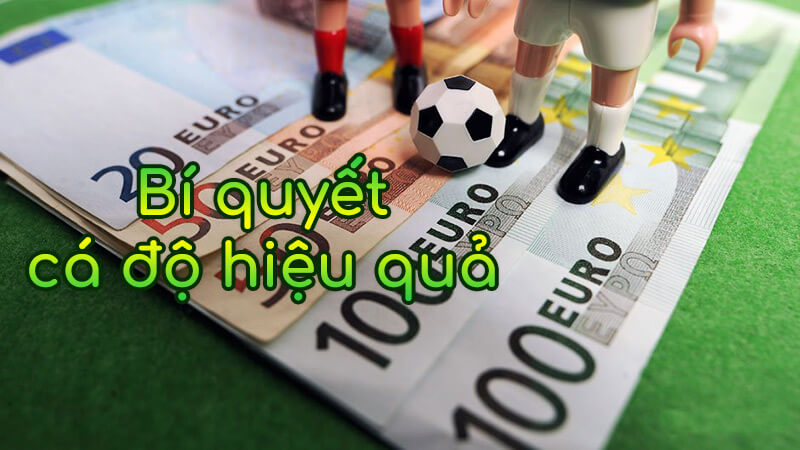Cá cược bóng đá là gì?
